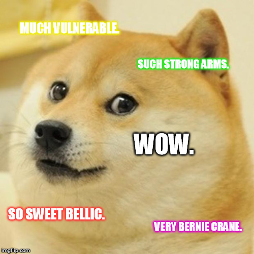 Doge Meme | MUCH VULNERABLE. SUCH STRONG ARMS. WOW. SO SWEET BELLIC. VERY BERNIE CRANE. | image tagged in memes,doge | made w/ Imgflip meme maker