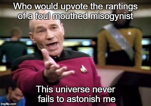 Seek help | Who would upvote the rantings of a foul mouthed misogynist; This universe never fails to astonish me | image tagged in memes,picard wtf | made w/ Imgflip meme maker