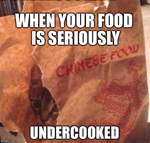 Meow! | WHEN YOUR FOOD IS SERIOUSLY; UNDERCOOKED | image tagged in chinese food,stereotype,funny memes | made w/ Imgflip meme maker
