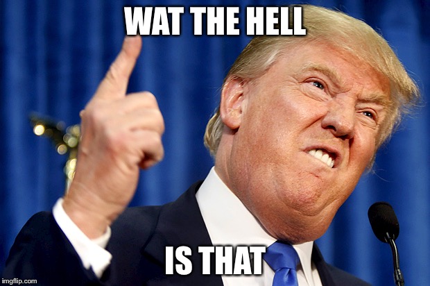 Donald Trump | WAT THE HELL; IS THAT | image tagged in donald trump | made w/ Imgflip meme maker