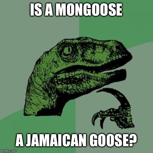 Philosoraptor Meme | IS A MONGOOSE; A JAMAICAN GOOSE? | image tagged in memes,philosoraptor | made w/ Imgflip meme maker
