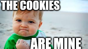 TEH COOKIES | THE COOKIES; ARE MINE | image tagged in success kid,cookies | made w/ Imgflip meme maker