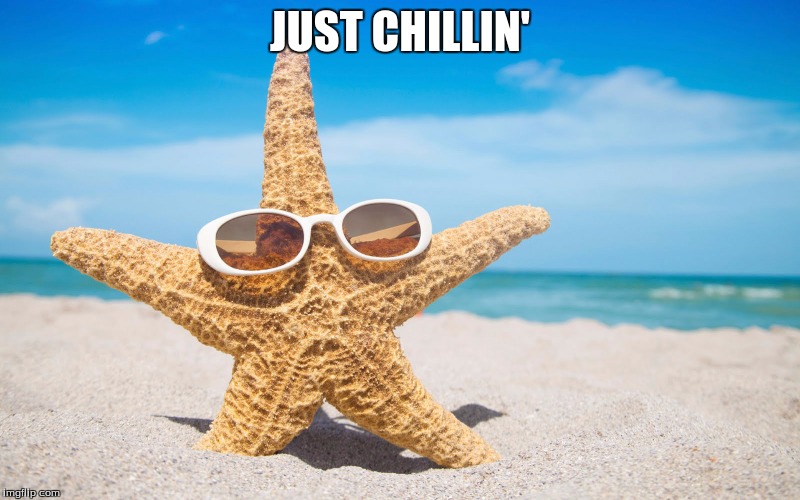 Starfish | JUST CHILLIN' | image tagged in funny meme | made w/ Imgflip meme maker
