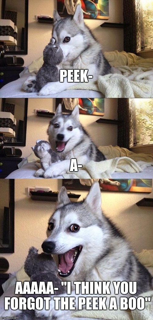 Bad Pun Dog | PEEK-; A-; AAAAA- "I THINK YOU FORGOT THE PEEK A BOO" | image tagged in memes,bad pun dog | made w/ Imgflip meme maker