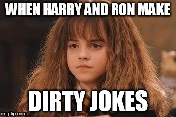 Harry Potter - Miss Granger is NOT amused | WHEN HARRY AND RON MAKE; DIRTY JOKES | image tagged in harry potter - miss granger is not amused | made w/ Imgflip meme maker