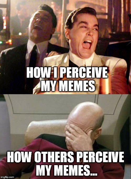 IMG sadness for many LOL | HOW I PERCEIVE MY MEMES; HOW OTHERS PERCEIVE MY MEMES... | image tagged in funny,memes,laugh,not funny | made w/ Imgflip meme maker
