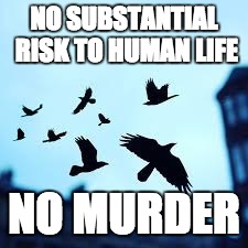 murder of crows | NO SUBSTANTIAL RISK TO HUMAN LIFE; NO MURDER | image tagged in murder of crows | made w/ Imgflip meme maker