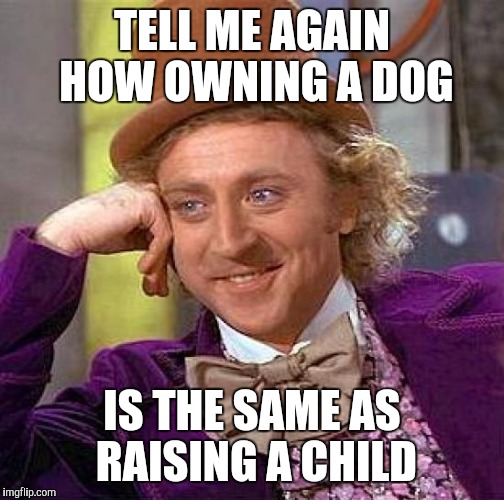Creepy Condescending Wonka | TELL ME AGAIN HOW OWNING A DOG; IS THE SAME AS RAISING A CHILD | image tagged in memes,creepy condescending wonka | made w/ Imgflip meme maker