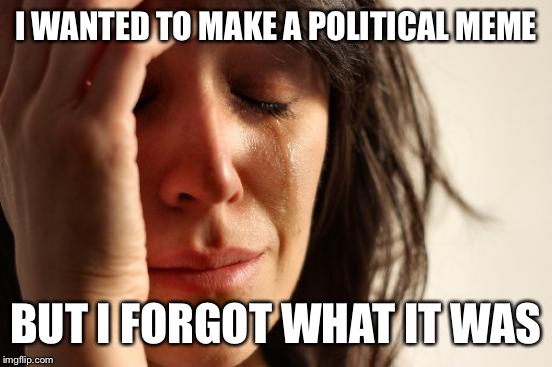 First World Problems Meme | I WANTED TO MAKE A POLITICAL MEME; BUT I FORGOT WHAT IT WAS | image tagged in memes,first world problems | made w/ Imgflip meme maker