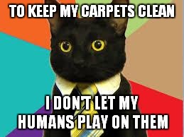 Cat Tie | TO KEEP MY CARPETS CLEAN; I DON'T LET MY HUMANS PLAY ON THEM | image tagged in cat tie | made w/ Imgflip meme maker