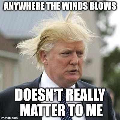 Donald Trump |  ANYWHERE THE WINDS BLOWS; DOESN'T REALLY MATTER TO ME | image tagged in donald trump | made w/ Imgflip meme maker