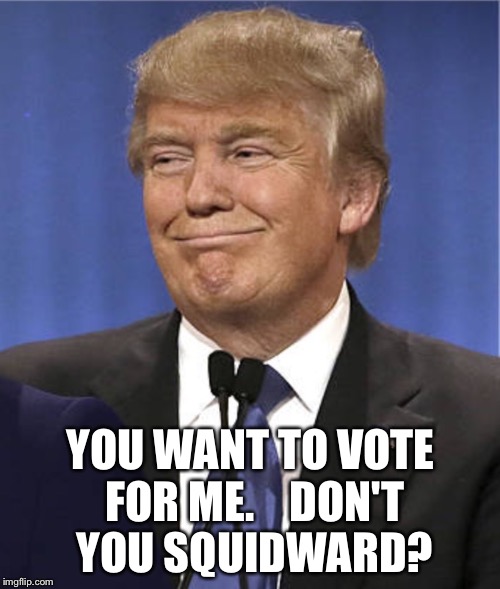 Don't you America | YOU WANT TO VOTE FOR ME.    DON'T YOU SQUIDWARD? | image tagged in don't you america | made w/ Imgflip meme maker