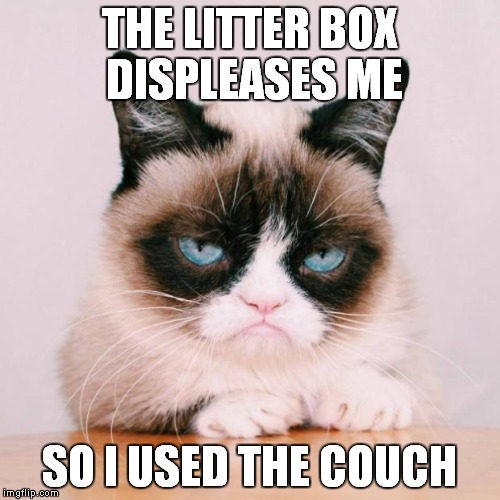 grumpy cat again | THE LITTER BOX DISPLEASES ME; SO I USED THE COUCH | image tagged in grumpy cat again | made w/ Imgflip meme maker