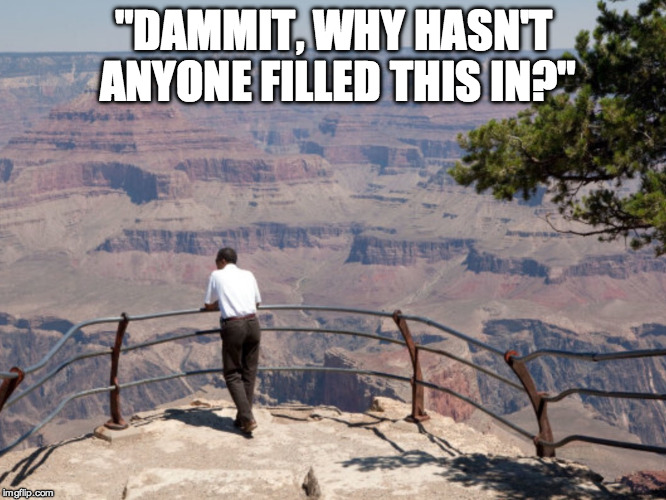 The Grand Canyon | "DAMMIT, WHY HASN'T ANYONE FILLED THIS IN?" | image tagged in the grand canyon | made w/ Imgflip meme maker