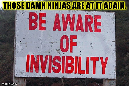 Ninjas ahead | THOSE DAMN NINJAS ARE AT IT AGAIN. | image tagged in funny,signs/billboards,memes,ninja,invisible | made w/ Imgflip meme maker