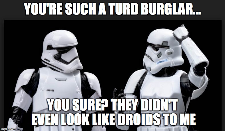 stormtroopers | YOU'RE SUCH A TURD BURGLAR... YOU SURE? THEY DIDN'T EVEN LOOK LIKE DROIDS TO ME | image tagged in stormtroopers | made w/ Imgflip meme maker