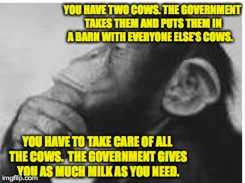 YOU HAVE TWO COWS. THE GOVERNMENT TAKES THEM AND PUTS THEM IN A BARN WITH EVERYONE ELSE’S COWS. YOU HAVE TO TAKE CARE OF ALL THE COWS.  THE  | made w/ Imgflip meme maker