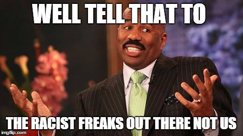 WELL TELL THAT TO THE RACIST FREAKS OUT THERE NOT US | image tagged in memes,steve harvey | made w/ Imgflip meme maker
