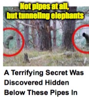 Responsible for uncounted sinkholes | Not pipes at all, but tunneling elephants | image tagged in memes,gifs,clickbait | made w/ Imgflip meme maker