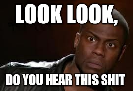 Kevin Hart | LOOK LOOK, DO YOU HEAR THIS SHIT | image tagged in memes,kevin hart the hell | made w/ Imgflip meme maker