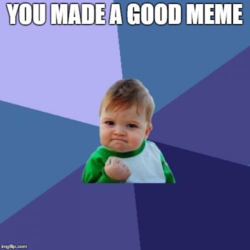 Success Kid Meme | YOU MADE A GOOD MEME | image tagged in memes,success kid | made w/ Imgflip meme maker