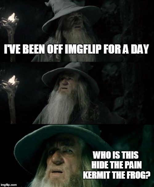 Don't know how these things get popular so fast | I'VE BEEN OFF IMGFLIP FOR A DAY; WHO IS THIS HIDE THE PAIN KERMIT THE FROG? | image tagged in memes,confused gandalf | made w/ Imgflip meme maker