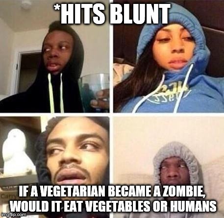 *Hits blunt | *HITS BLUNT; IF A VEGETARIAN BECAME A ZOMBIE, WOULD IT EAT VEGETABLES OR HUMANS | image tagged in hits blunt | made w/ Imgflip meme maker