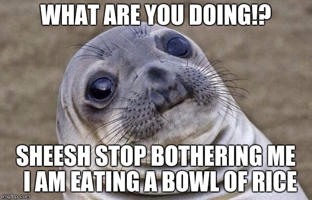Awkward Moment Sealion Meme | WHAT ARE YOU DOING!? SHEESH STOP BOTHERING ME 
I AM EATING A BOWL OF RICE | image tagged in memes,awkward moment sealion | made w/ Imgflip meme maker