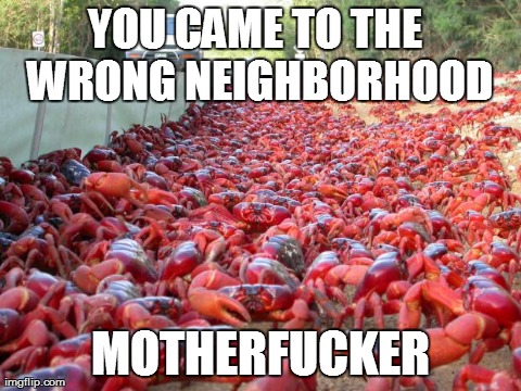 image tagged in funny,memes,wrong neighborhood,animals,AdviceAnimals | made w/ Imgflip meme maker