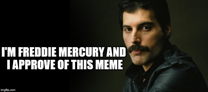 I'M FREDDIE MERCURY AND I APPROVE OF THIS MEME | made w/ Imgflip meme maker