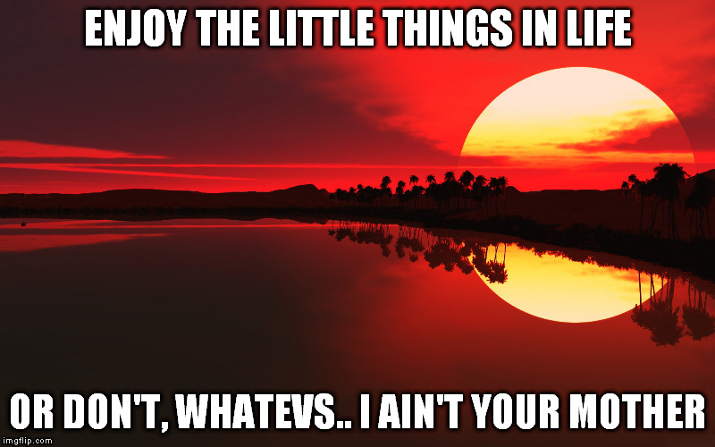 inspiring  | ENJOY THE LITTLE THINGS IN LIFE; OR DON'T, WHATEVS.. I AIN'T YOUR MOTHER | image tagged in sunset | made w/ Imgflip meme maker