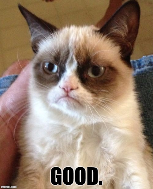 Grumpy Cat Meme | GOOD. | image tagged in memes,grumpy cat | made w/ Imgflip meme maker
