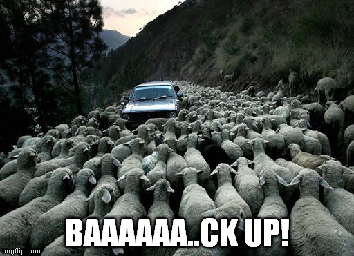 BAAAAAA..CK UP! | made w/ Imgflip meme maker