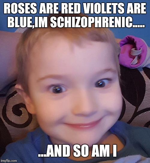 Evil genius kid | ROSES ARE RED VIOLETS ARE BLUE,IM SCHIZOPHRENIC..... ...AND SO AM I | image tagged in evil genius kid | made w/ Imgflip meme maker