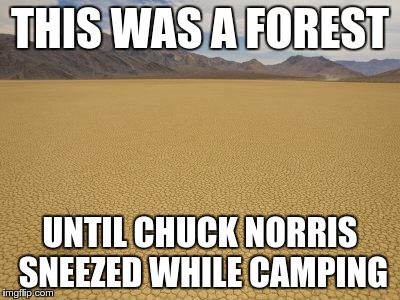 Time to find a new place | THIS WAS A FOREST; UNTIL CHUCK NORRIS SNEEZED WHILE CAMPING | image tagged in chuck norris,camping,desert | made w/ Imgflip meme maker
