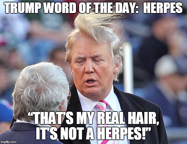 TRUMP WORD OF THE DAY:  HERPES; “THAT’S MY REAL HAIR, IT’S NOT A HERPES!” | image tagged in donald trumph hair | made w/ Imgflip meme maker