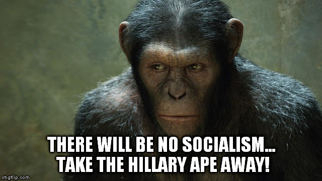 THERE WILL BE NO SOCIALISM... TAKE THE HILLARY APE AWAY! | made w/ Imgflip meme maker