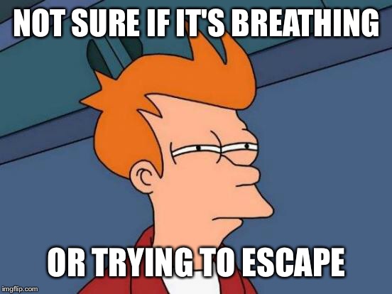 Futurama Fry Meme | NOT SURE IF IT'S BREATHING OR TRYING TO ESCAPE | image tagged in memes,futurama fry | made w/ Imgflip meme maker