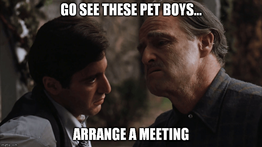 GO SEE THESE PET BOYS... ARRANGE A MEETING | made w/ Imgflip meme maker