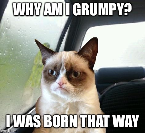 Introspective Grumpy Cat | WHY AM I GRUMPY? I WAS BORN THAT WAY | image tagged in introspective grumpy cat | made w/ Imgflip meme maker