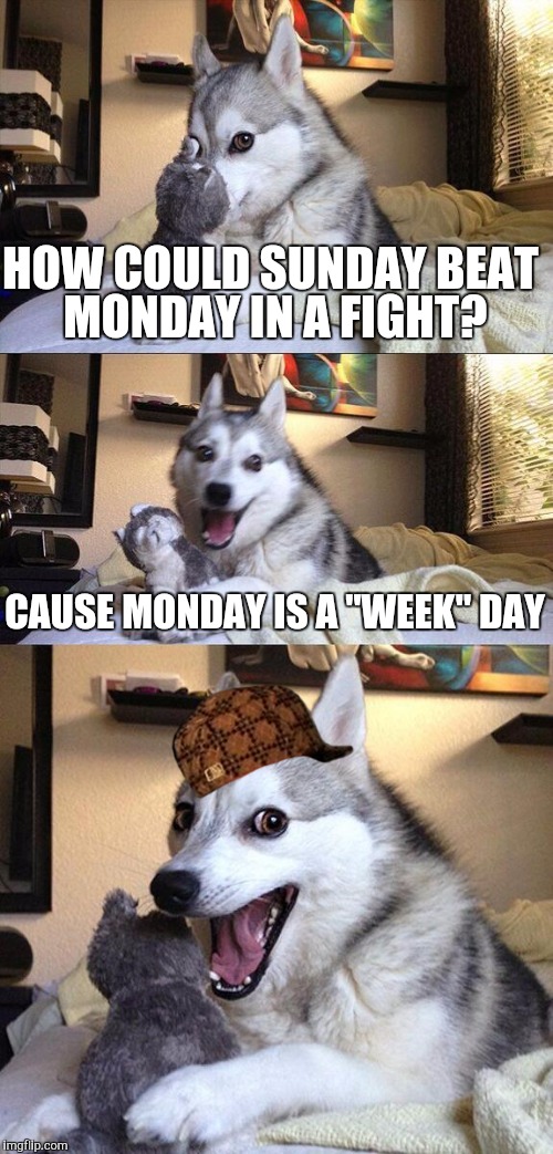 When you really hate Mondays you bet on sunday | HOW COULD SUNDAY BEAT MONDAY IN A FIGHT? CAUSE MONDAY IS A "WEEK" DAY | image tagged in memes,bad pun dog,scumbag | made w/ Imgflip meme maker
