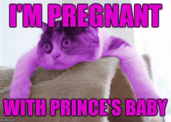 RayCat Stare | I'M PREGNANT WITH PRINCE'S BABY | image tagged in raycat stare | made w/ Imgflip meme maker