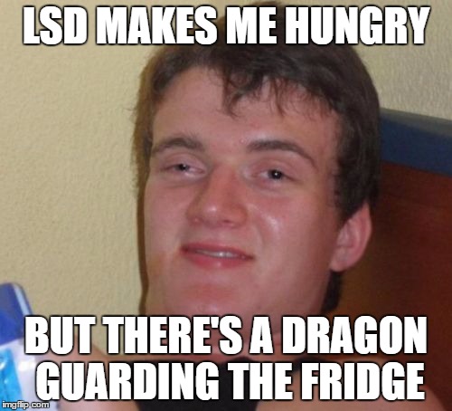 10 Guy | LSD MAKES ME HUNGRY; BUT THERE'S A DRAGON GUARDING THE FRIDGE | image tagged in memes,10 guy | made w/ Imgflip meme maker
