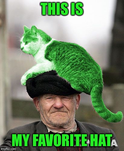 Cat on a Hat | THIS IS MY FAVORITE HAT | image tagged in cat on a hat | made w/ Imgflip meme maker