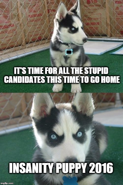 Another Candidate Enters the Race | IT'S TIME FOR ALL THE STUPID CANDIDATES THIS TIME TO GO HOME; INSANITY PUPPY 2016 | image tagged in memes,insanity puppy | made w/ Imgflip meme maker