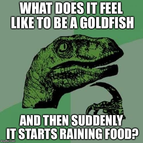 Philosoraptor Meme | WHAT DOES IT FEEL LIKE TO BE A GOLDFISH; AND THEN SUDDENLY IT STARTS RAINING FOOD? | image tagged in memes,philosoraptor | made w/ Imgflip meme maker