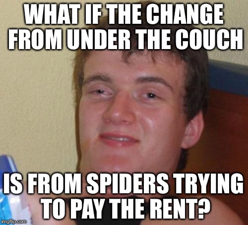10 Guy Meme | WHAT IF THE CHANGE FROM UNDER THE COUCH; IS FROM SPIDERS TRYING TO PAY THE RENT? | image tagged in memes,10 guy | made w/ Imgflip meme maker