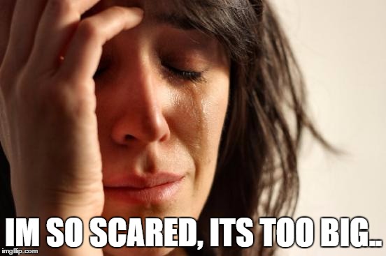 First World Problems | IM SO SCARED, ITS TOO BIG.. | image tagged in memes,first world problems | made w/ Imgflip meme maker