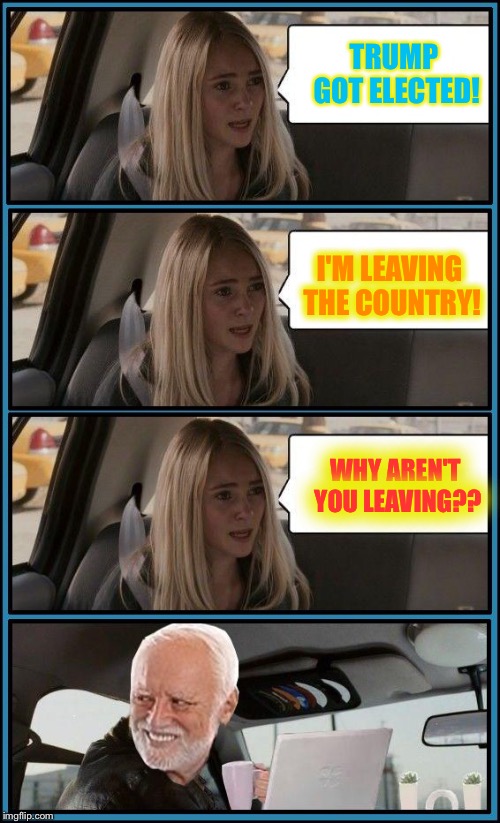 Harold Driving | TRUMP GOT ELECTED! I'M LEAVING THE COUNTRY! WHY AREN'T YOU LEAVING?? | image tagged in harold driving | made w/ Imgflip meme maker
