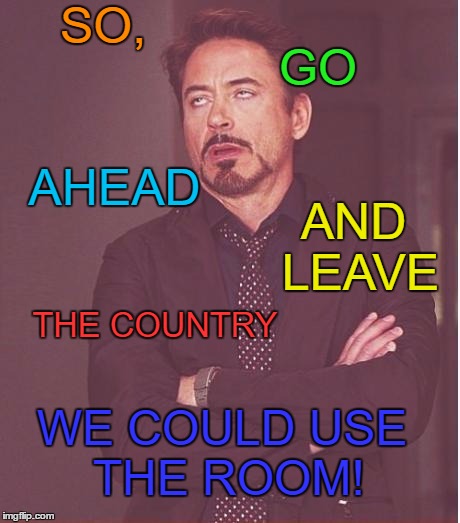Face You Make Robert Downey Jr | SO, GO; AHEAD; AND LEAVE; THE COUNTRY; WE COULD USE THE ROOM! | image tagged in memes,face you make robert downey jr | made w/ Imgflip meme maker